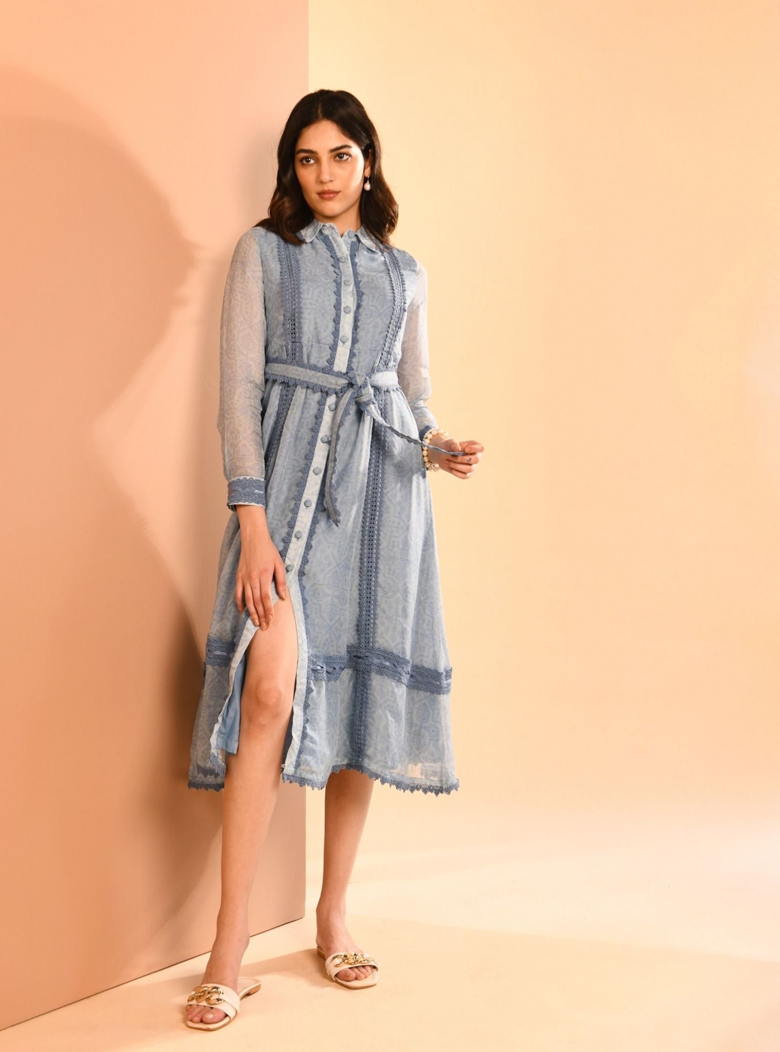 Liz Organza Printed Blue Long Dress