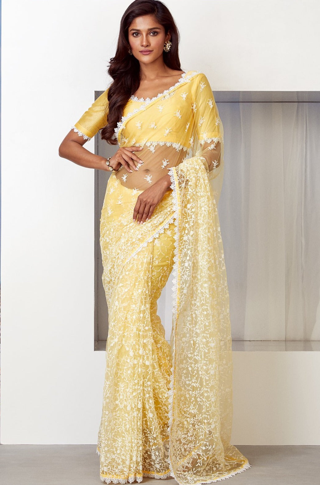 Poise Net Saree